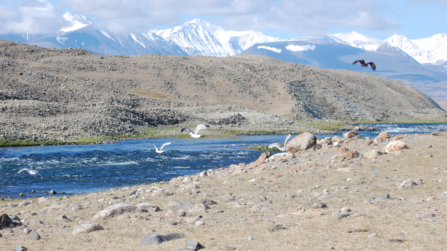 Сплав на рафтах и каноэ по Западной Монголии «водораздел Евразии - истоки реки Ховд»