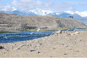 Сплав на рафтах и каноэ по Западной Монголии «водораздел Евразии - истоки реки Ховд»