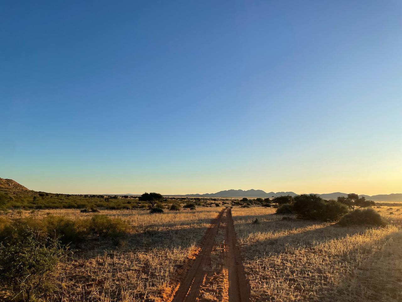 Пустыня Калахари (ЮАР)