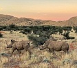 Пустыня Калахари (ЮАР)